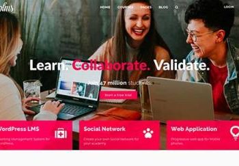 英文网站与中文网站如何区分