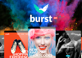 网站SEO快速入门秘密