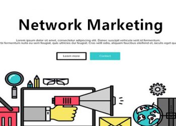 SEO优化可以分为哪几种类型