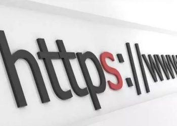 百度熊掌号为什么是白帽SEO的春天