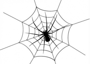 网站建设内容如何优化