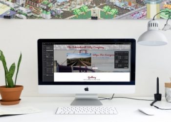 关于度娘的一些介绍与网络关系