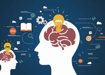 蜘蛛池对网站seo有什么用