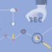 分享干货seo新人优化操作指南