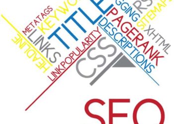 分享一下如何判断网站是否降权