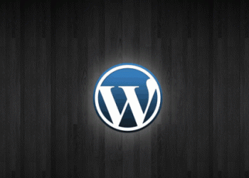 Wordpress如何满足seo优化需求