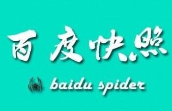 同网站页面的快照为什么会有差别